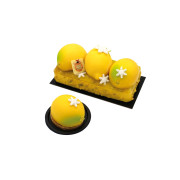 Bûche Trompe-l'œil