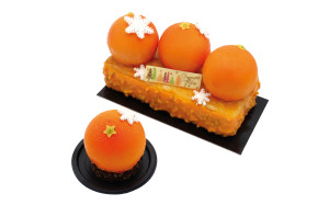 Bûche Trompe-l'œil mandarine