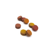 Chocofruits - Fruits jaunes des Tropiques