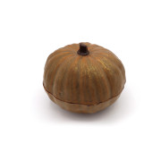Citrouille Chocolat noir