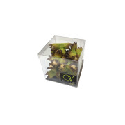 Petit cube noisette