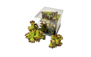 Petit cube noisette